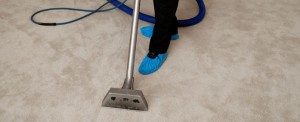 carpet cleaning services