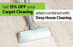 great carpet cleaning deal