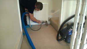 professional carpet cleaning