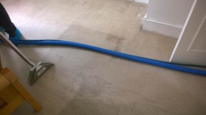 excellent carpet cleaning in london