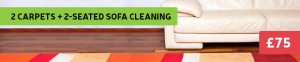 sofa and carpet cleaning deal