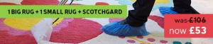great cleaning offer big + small rug + skotchgard treatment