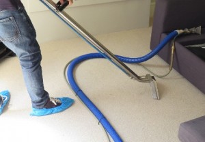 expert carpet cleaners kensington 