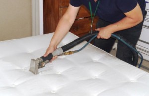 effective mattress cleaning london