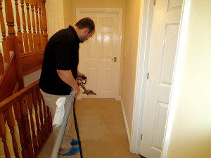 professional carpet cleaning barking
