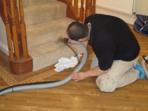 efficient carpet cleaning Kingston